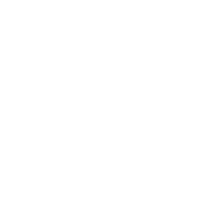fzn